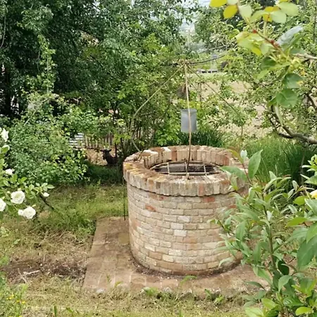 Regno Torre San Patrizio